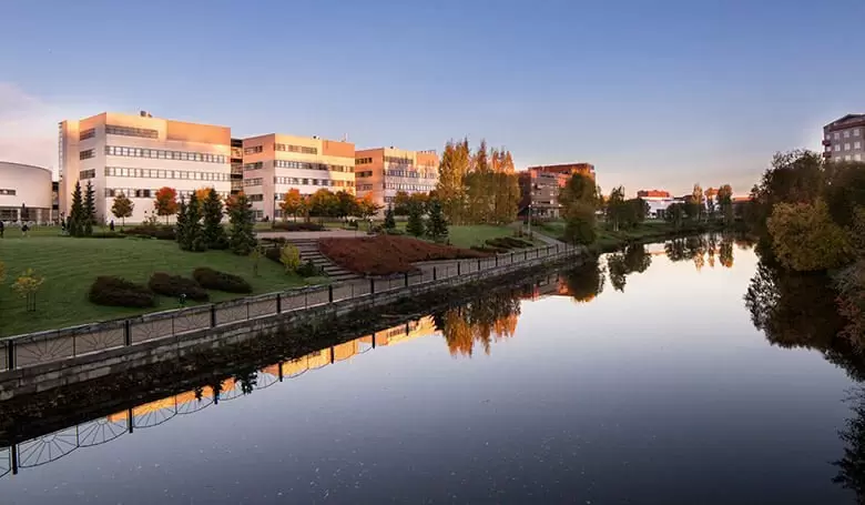 Программа Бакалавриат  в Seinäjoki University of Applied Sciences