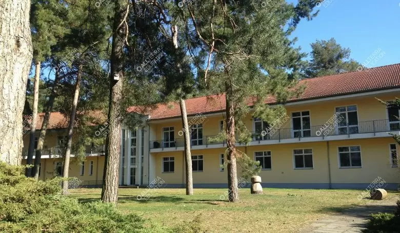 Программа Abitur  в Gymnasium Villa Elisabeth