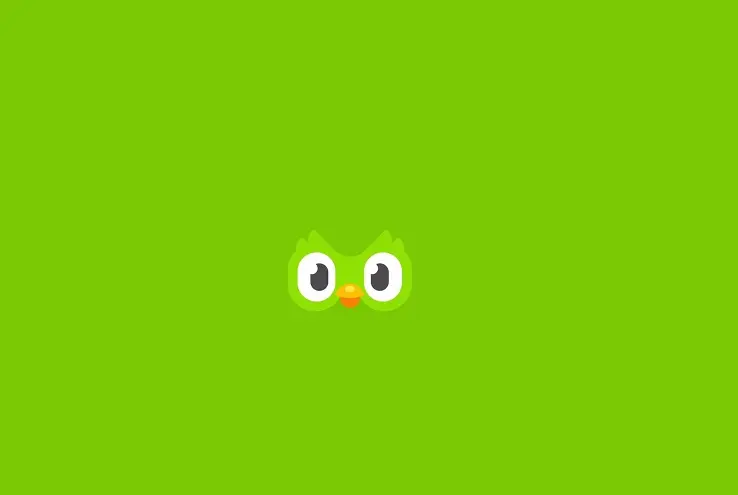 Экзамен Duolingo: как он устроен, кому подойдёт и чем отличается от IELTS и TOEFL?