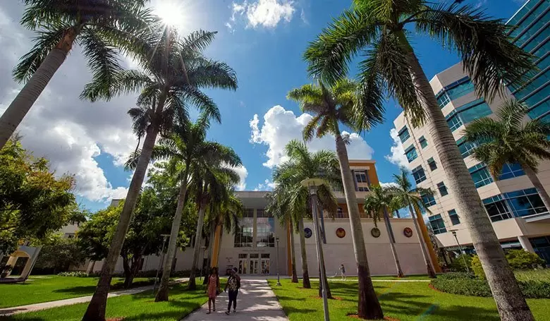 Программа Бакалавриат в Florida International University FIU