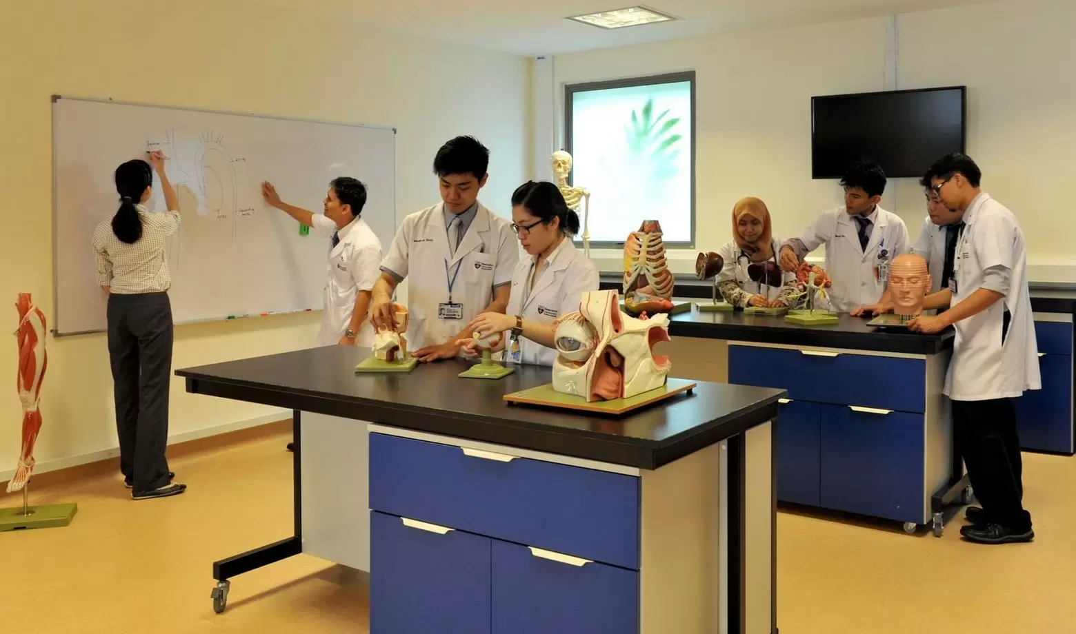 Занятия в Newcastle Medical University Malaysia