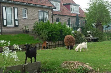 Голландская деревня