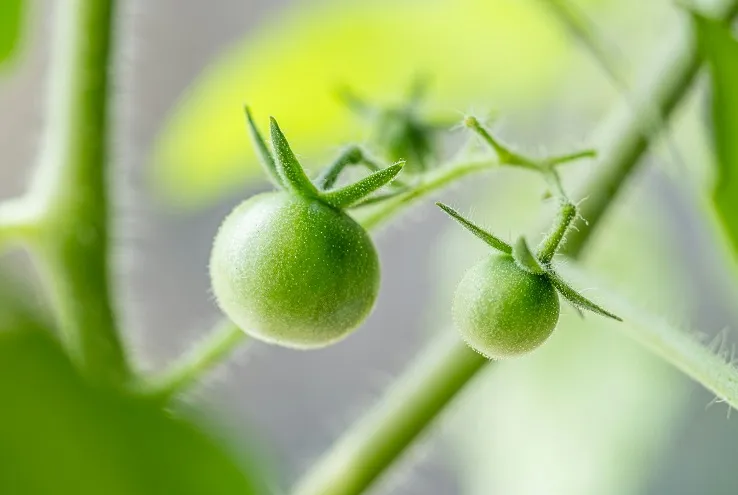 Аграрный менеджмент: что&nbsp;за&nbsp;профессия, и где получить нужное образование?