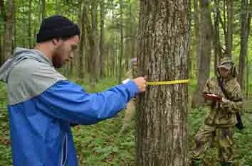 Экологическое образование в Германии