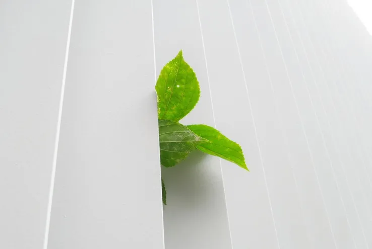 Устойчивое образование: что это, зачем, и где изучать ESG