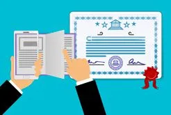 В чём различия между колледжем и университетом в США