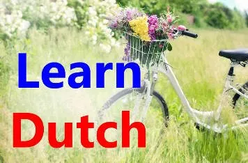 Высшее образование в Голландии: Spreek je Nederlands?