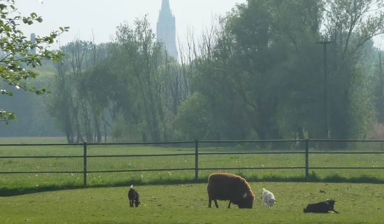 Голландия - страна контрастов. В хорошем смысле этого слова.