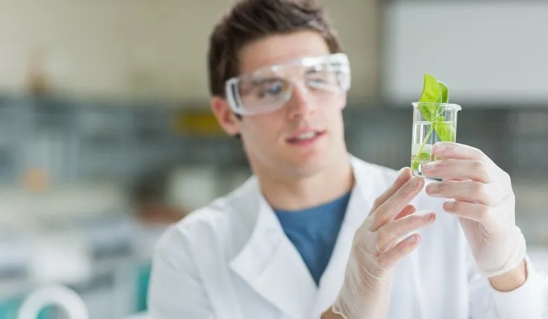 Высшее образование в Германии с Allterra Education